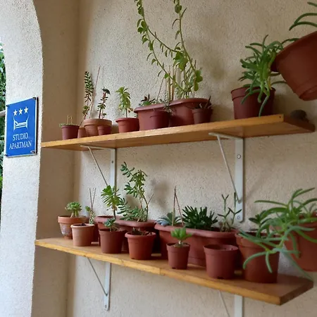 Lägenhet Elena Split