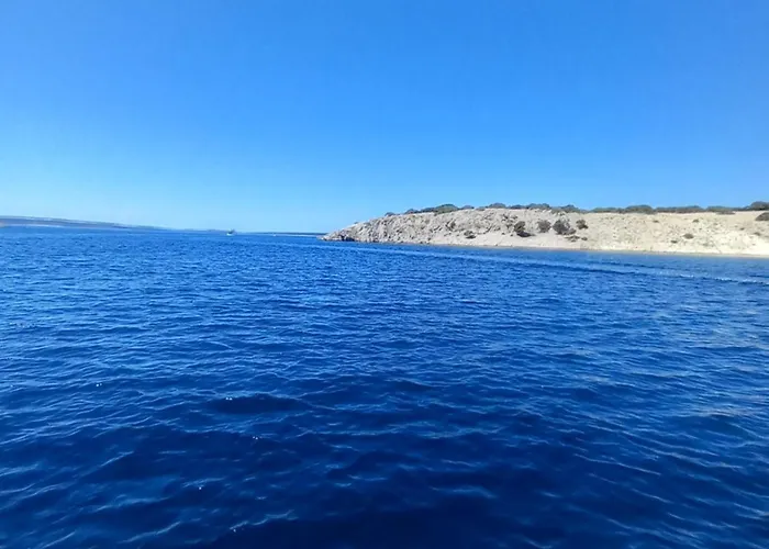 Elena * Split