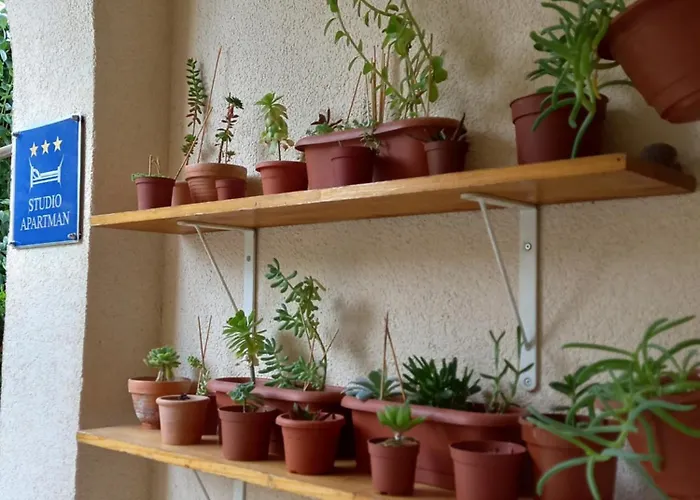 Apartment Elena Split